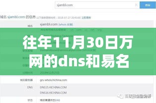 往年11月30日万网与易名DNS服务的全面对比解析