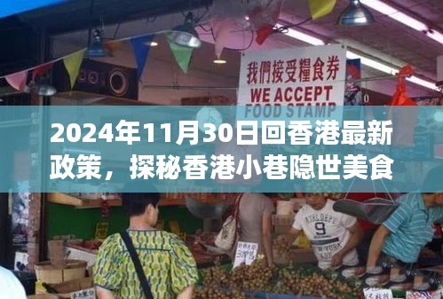 香港美食之旅，最新政策下的味蕾之旅与小巷隐世美食探秘