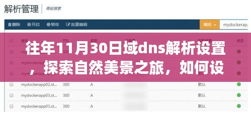 往年11月30日DNS解析设置指南，开启自然美景探索之旅，心灵远离尘嚣的DNS设置之旅