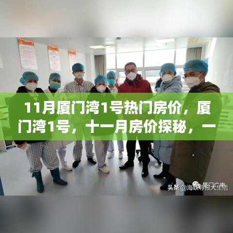 厦门湾1号十一月热门房价揭秘，自然美景与治愈之旅的探寻