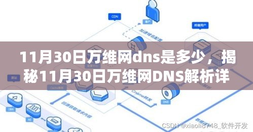 揭秘，11月30日万维网DNS解析详情及最新数据一网打尽