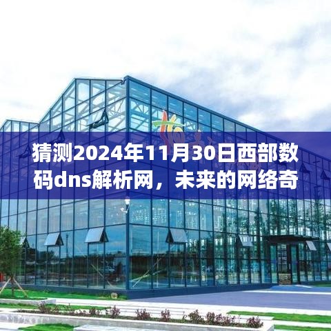 未来网络奇遇，西部数码DNS解析网与家庭温馨时光展望（猜测基于2024年11月30日）