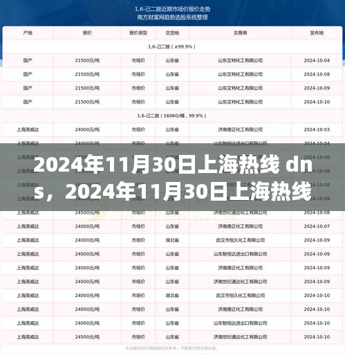 2024年11月30日上海热线DNS服务评测，特性、体验与用户洞察