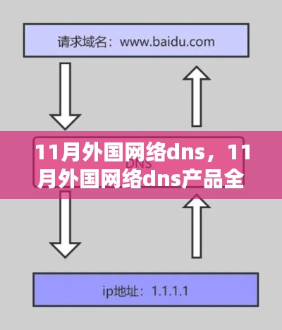 11月外国网络DNS产品全面评测与介绍专题