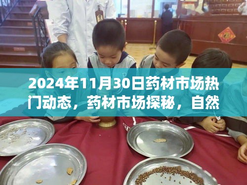 药材市场探秘与美景之旅，寻找内心宁静与平和之药的最新动态（2024年11月30日）