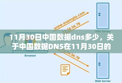 中国数据DNS在11月30日的数值深度分析与观点阐述，DNS数值探讨与趋势分析