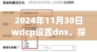 探秘独家DNS宝藏，探秘小巷深处的隐藏特色小店（2024年11月30日wdcp设置dns）