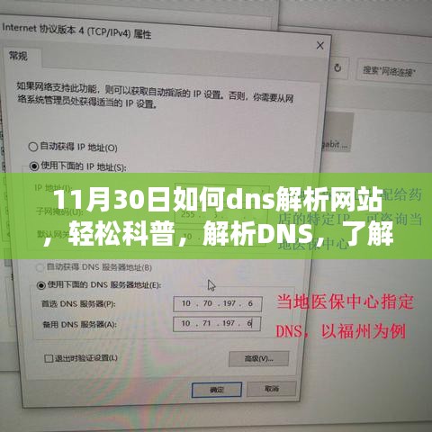 揭秘DNS解析网站背后的秘密，轻松科普指南（以11月30日为例）