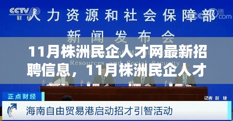 11月株洲民企人才网最新招聘信息全解析与介绍