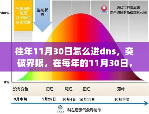 突破界限，每年的11月30日如何跨越DNS障碍，拥抱学习与成长的力量