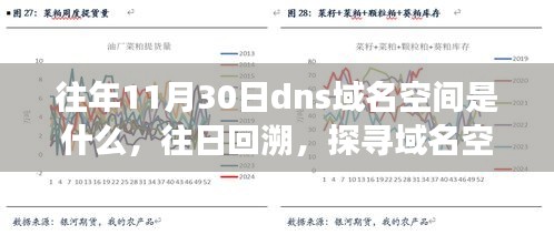 探寻往年11月30日DNS域名空间的变迁轨迹，回溯历史探寻域名空间发展脉络