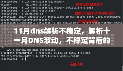 十一月DNS解析波动与不稳定，原因解析及应对策略
