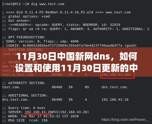 11月30日更新，中国新网DNS服务设置与使用指南——适合初学者与进阶用户