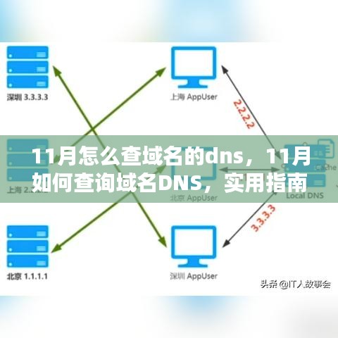 实用指南，11月查询域名DNS的步骤与方法