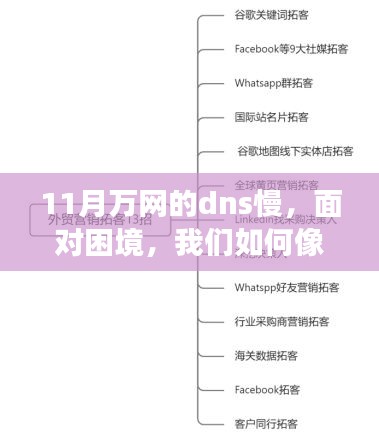 秋叶般的坚韧前行，应对万网DNS慢的挑战与成长契机揭秘