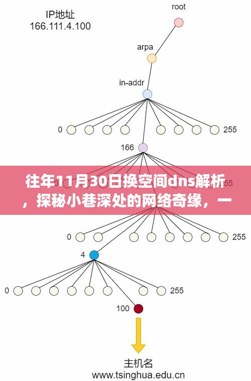 探秘小巷深处的网络奇缘，特色DNS解析小店非凡之旅揭秘往年换空间DNS解析幕后故事