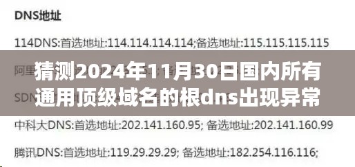 2024年通用顶级域名根DNS异常预测解析与可能出现的问题探讨