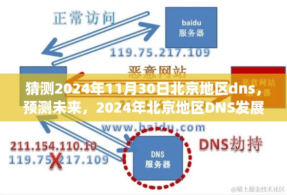 2024年北京地区DNS发展预测，未来走向分析与猜测