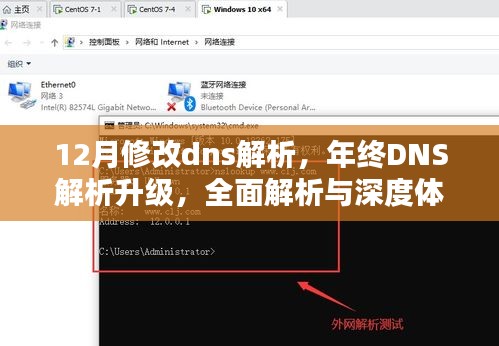 年终DNS解析升级详解与深度体验，全面解析助力年终网络优化