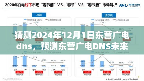 2024年12月1日东营广电DNS展望，未来趋势预测与洞察