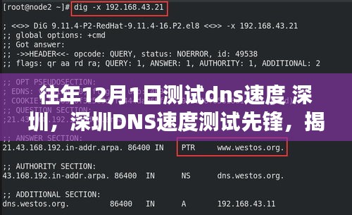 揭秘最新科技重塑网络体验，深圳DNS速度测试先锋，历年数据对比解析