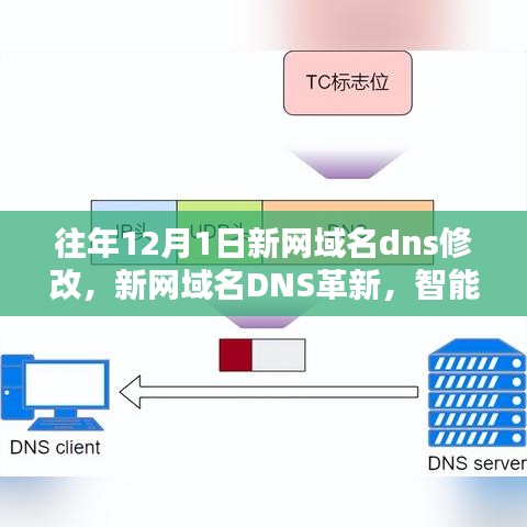 新网域名DNS革新智能导航，未来体验新纪元