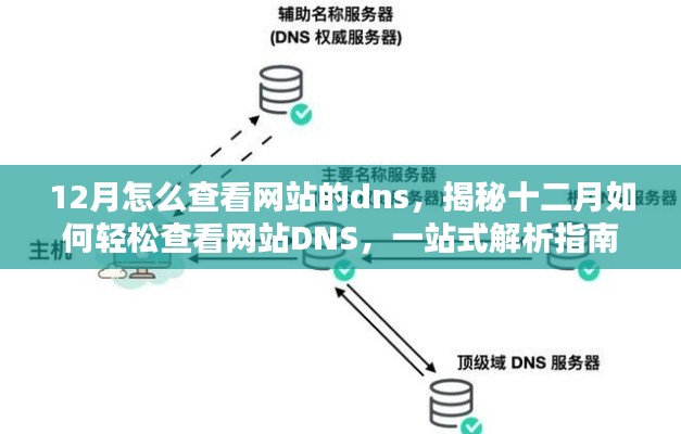 揭秘十二月轻松查看网站DNS的解析指南，一站式查询网站DNS服务详解