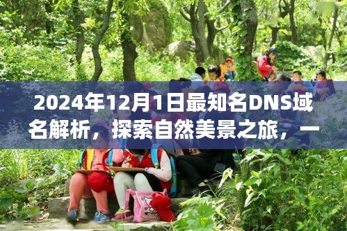 未来知名DNS域名解析，自然美景之旅的奇妙启程（2024年12月1日）