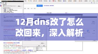 深入解析，如何恢复与复原12月DNS改动后的设置指南