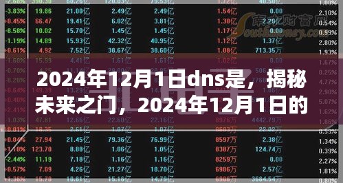 揭秘未来之门，2024年DNS新纪元开启时刻