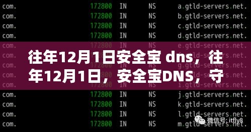 往年12月1日安全宝DNS，守护网络安全的坚实力量