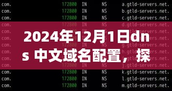 2024年DNS中文域名配置的未来发展与挑战，优缺点分析与展望