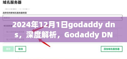 Godaddy DNS 2024年最新动态与前瞻性洞察