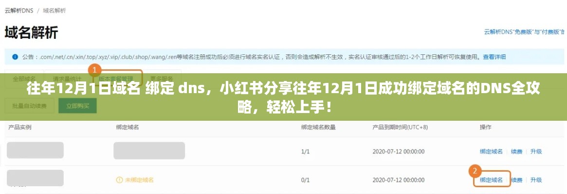 轻松上手！小红书分享，往年12月1日域名绑定DNS全攻略