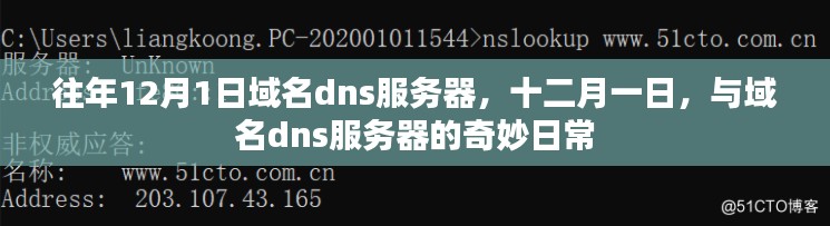 十二月一日，域名DNS服务器的日常奇妙之旅