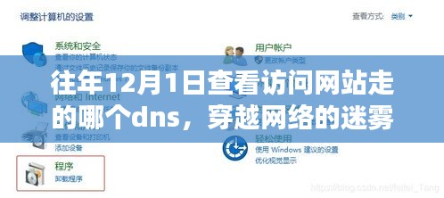 DNS探寻之旅，心灵穿越数字迷雾，发现自然美景背后的宁静