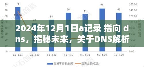 揭秘未来DNS解析与记录的新篇章，以A记录指向DNS为例，展望2024年发展趋势