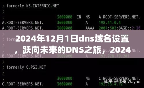 跃向未来的DNS之旅，掌握域名设置魔法，启程于2024年12月1日