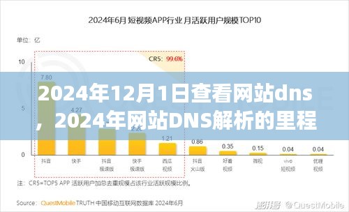 回顾与展望，2024年网站DNS解析里程碑及未来展望（2024年12月1日查看网站dns）