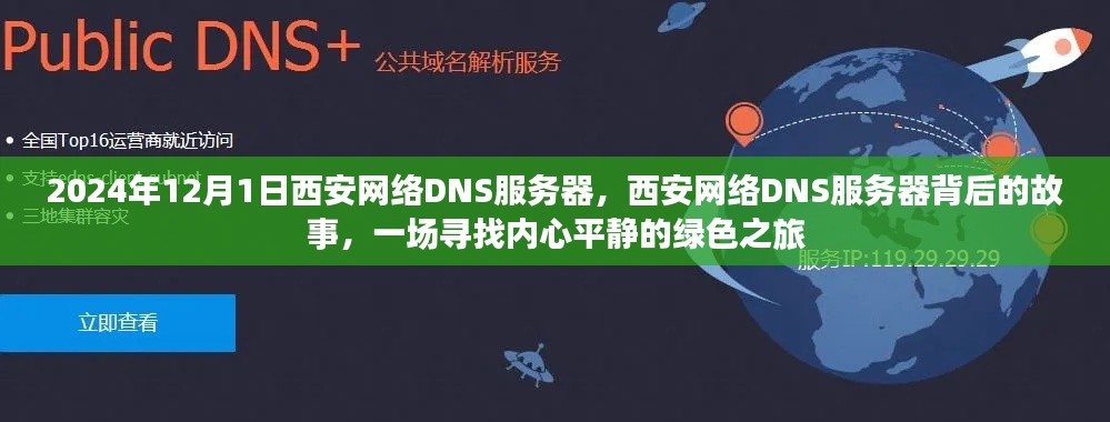 西安网络DNS服务器背后的故事，寻找内心平静的绿色之旅启程于2024年12月1日