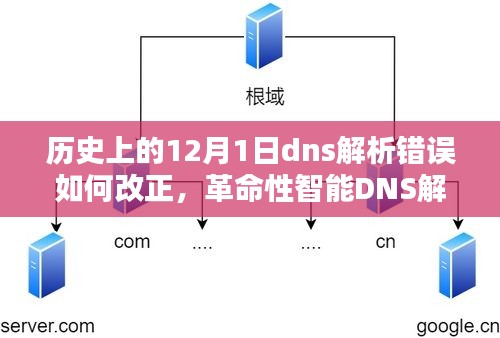 历史上的12月1日DNS解析错误改正新纪元，智能DNS解析器的革命性力量与未来引领之路