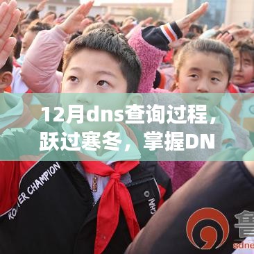 掌握DNS查询过程，开启学习新篇章的自信之旅