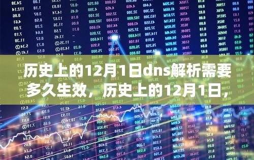 探究历史上的12月1日DNS解析演变与生效时刻揭秘