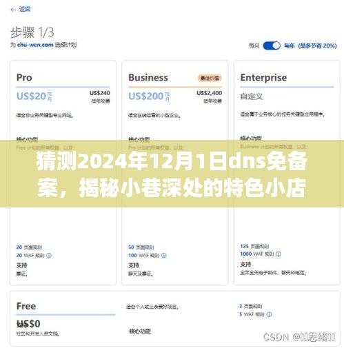 揭秘小巷深处的特色小店，预测2024年DNS免备案背后的故事与独特之处