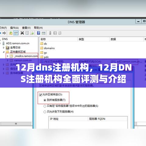 12月DNS注册机构深度评测与介绍