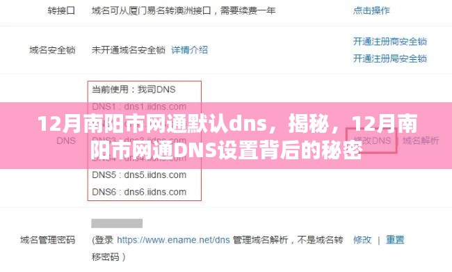 揭秘，南阳市网通DNS设置背后的秘密（12月版）