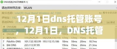 12月1日dns托管账号，12月1日，DNS托管账号背后的温馨故事