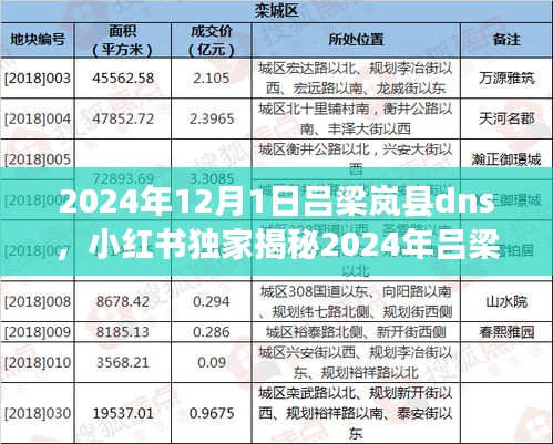 小红书独家揭秘，吕梁岚县DNS升级之旅，科技赋能开启智慧新篇章（2024年）