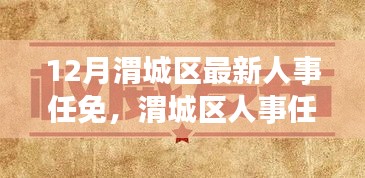 渭城区人事任免动态，深度解析十二月最新人事调整