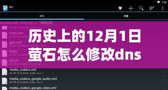 历史上的12月1日，萤石DNS修改之旅